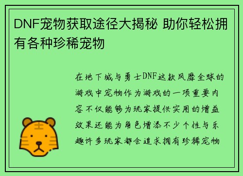 DNF宠物获取途径大揭秘 助你轻松拥有各种珍稀宠物